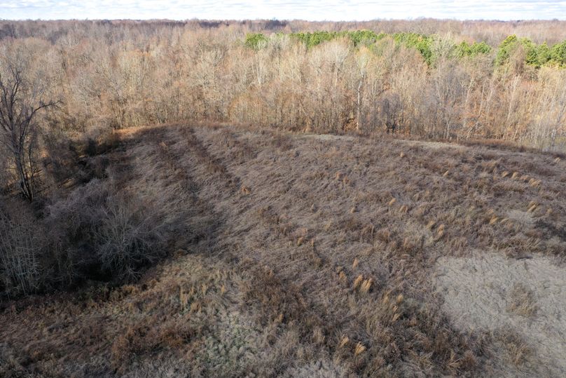 Obiontn tract 3-0338