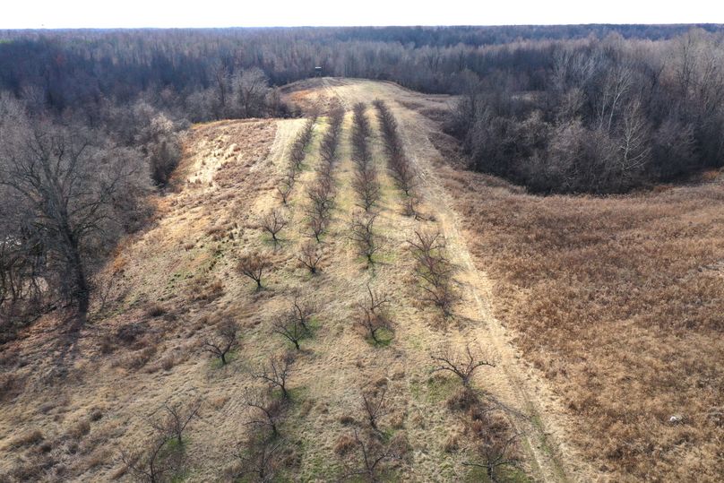 Obiontn tract 3-0339