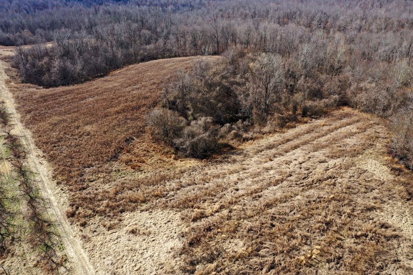 Obiontn tract 3-0333