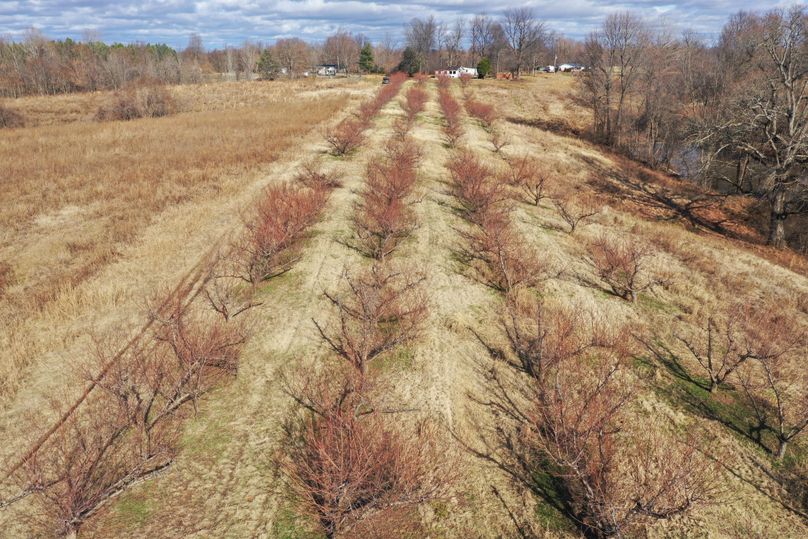 Obiontn tract 3-0340