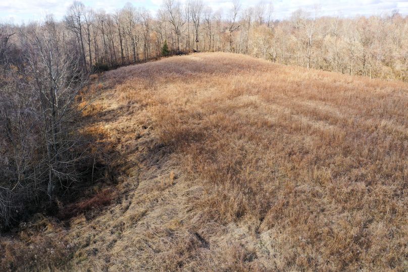 Obiontn tract 3-0341