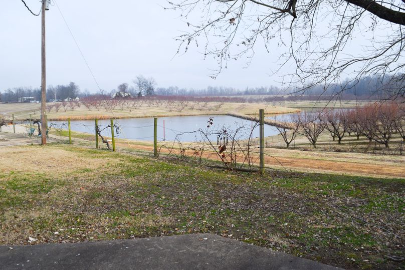 Obiontn tract 4-0745