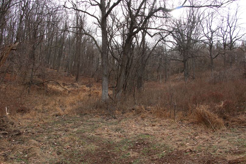 003food plot potential