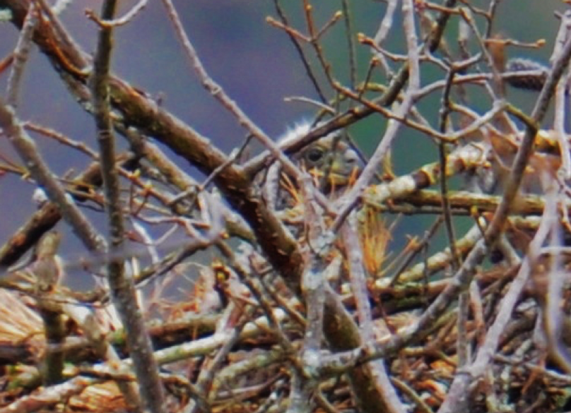 Screen shot 2019-11-29 at 9.40.12 pm