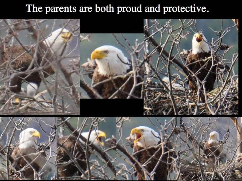 Screen shot 2019-11-29 at 9.40.37 pm