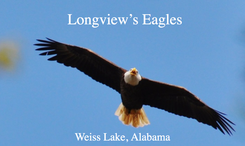 Screen shot 2019-11-29 at 9.41.19 pm