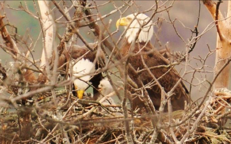 Screen shot 2019-11-29 at 9.39.04 pm