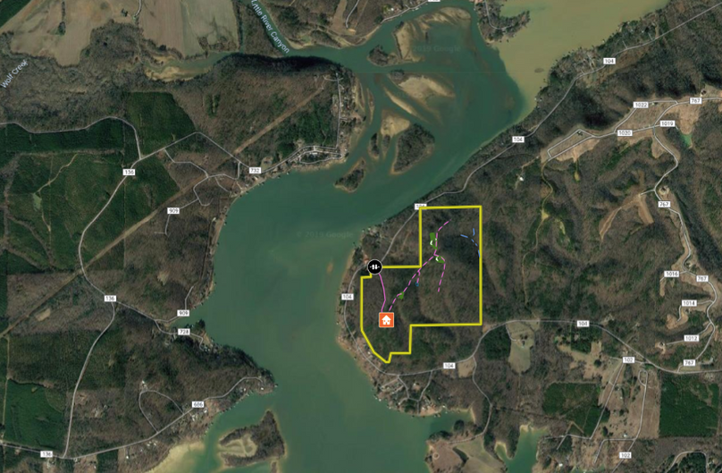 Screen shot 2020-01-11 at 9.36.35 pm