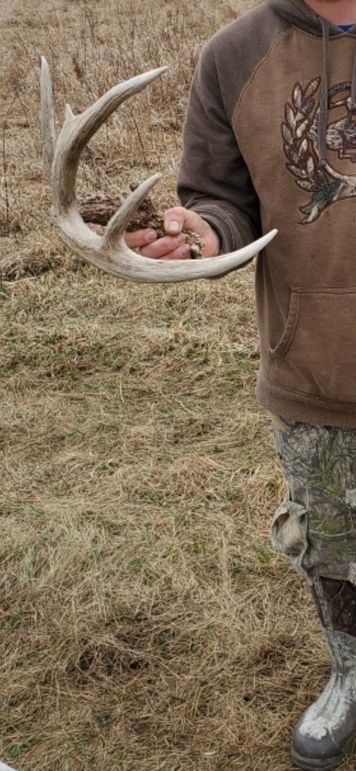 Screenshot 2020-03-26 at 2.50.04 pm