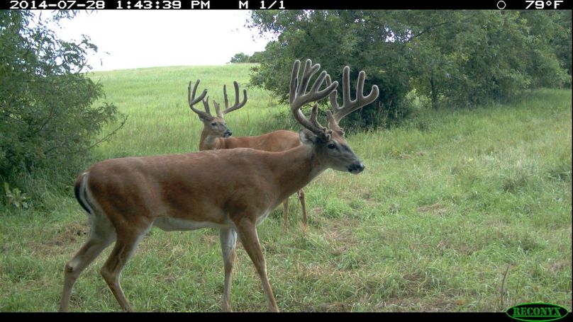 2014-07-28 13-43-39 m 1 1