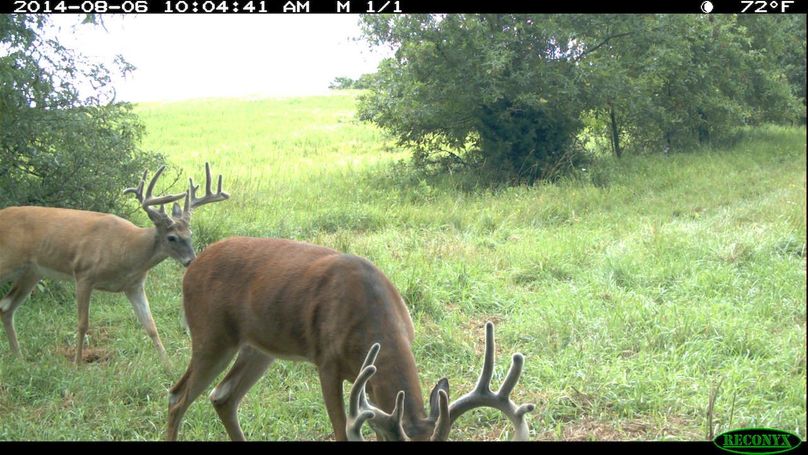 2014-08-06 10-04-41 m 1 1