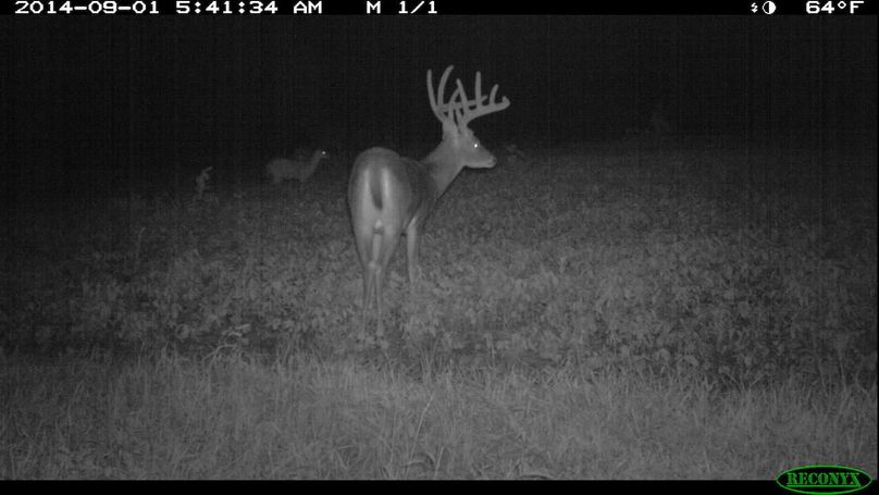 2014-09-01 05-41-34 m 1 1