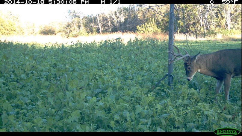 2014-10-18 17-30-06 m 1 1