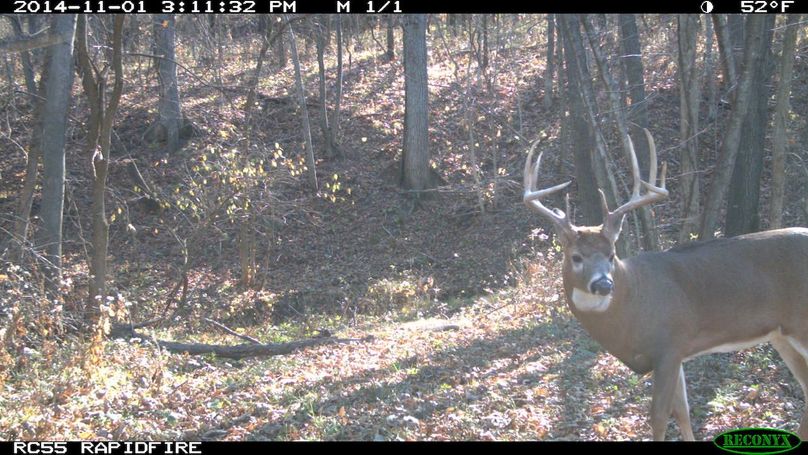 2014-11-01 15-11-32 m 1 1