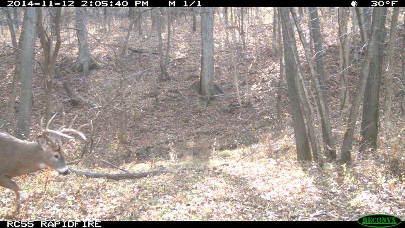 2014-11-12 14-05-40 m 1 1