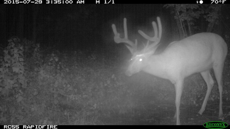 2015-07-29 03-35-00 m 1 1