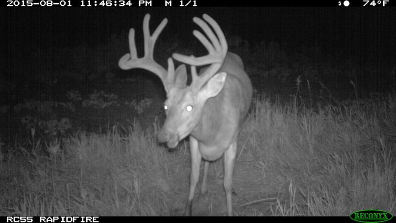 2015-08-01 23-46-34 m 1 1