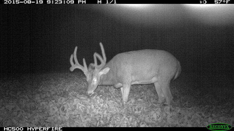 2015-08-19 21-23-09 m 1 1