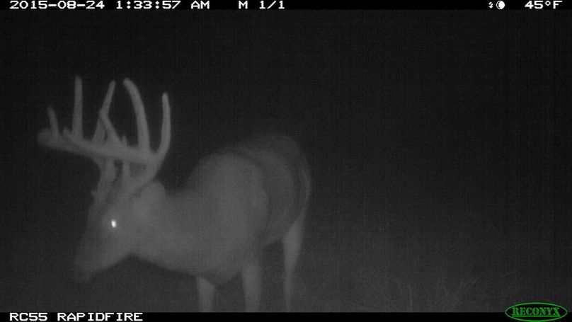 2015-08-24 01-33-57 m 1 1