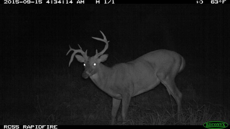 2015-09-15 04-34-14 m 1 1