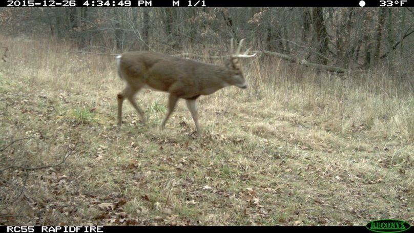 2015-12-26 16-34-49 m 1 1