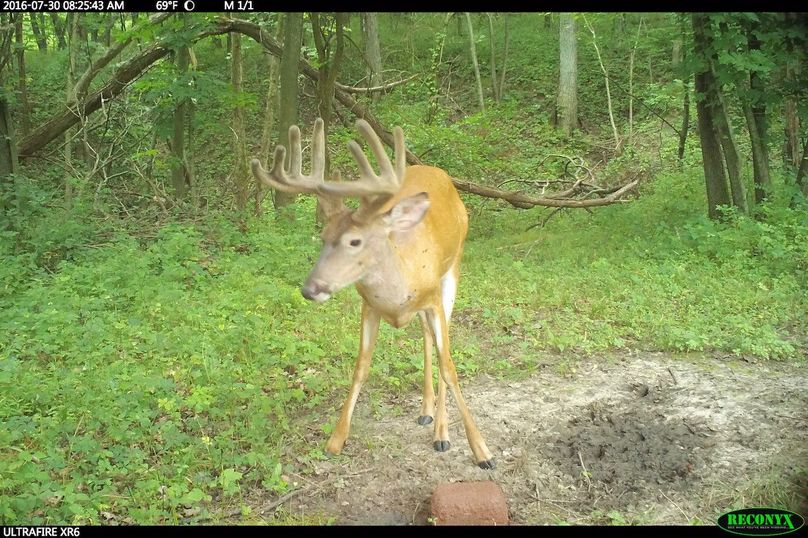 2016-07-30 08-25-43 m 1 1