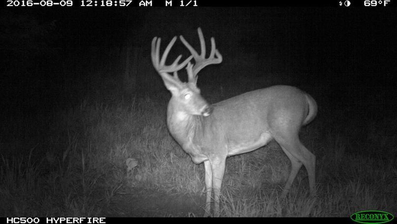 2016-08-09 00-18-57 m 1 1