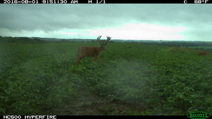 2016-08-01 09-51-30 m 1 1