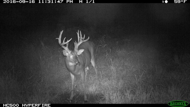 2016-09-16 23-31-47 m 1 1