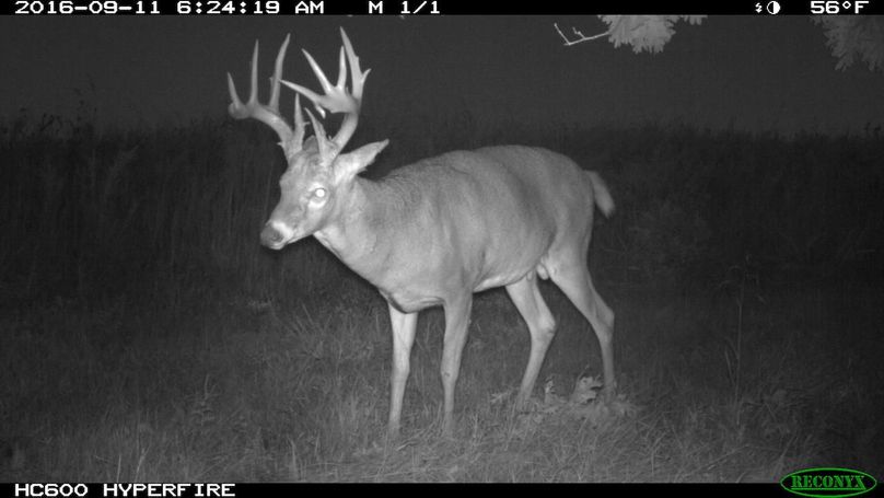 2016-09-11 06-24-19 m 1 1