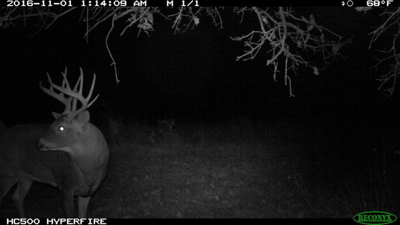 2016-11-01 01-14-09 m 1 1