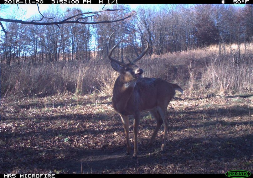 2016-11-20 15-52-08 m 1 1