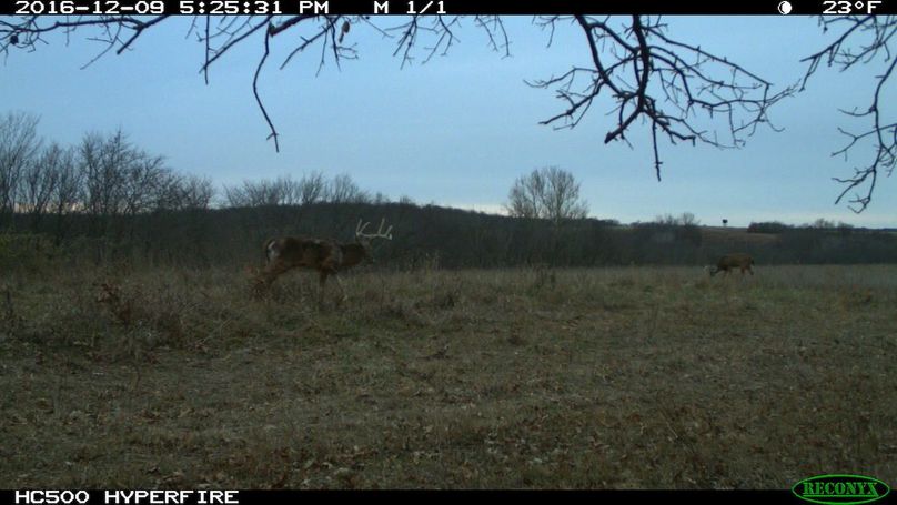 2016-12-09 17-25-31 m 1 1