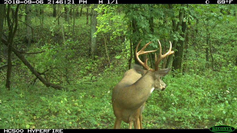 2018-09-06 14-46-21 m 1 1