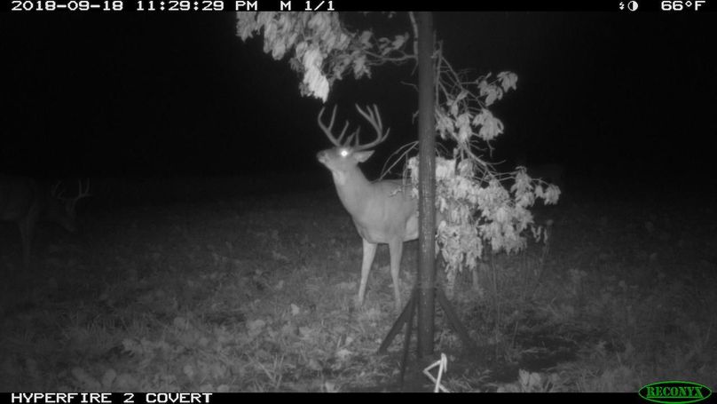 2018-09-18 23-29-29 m 1 1