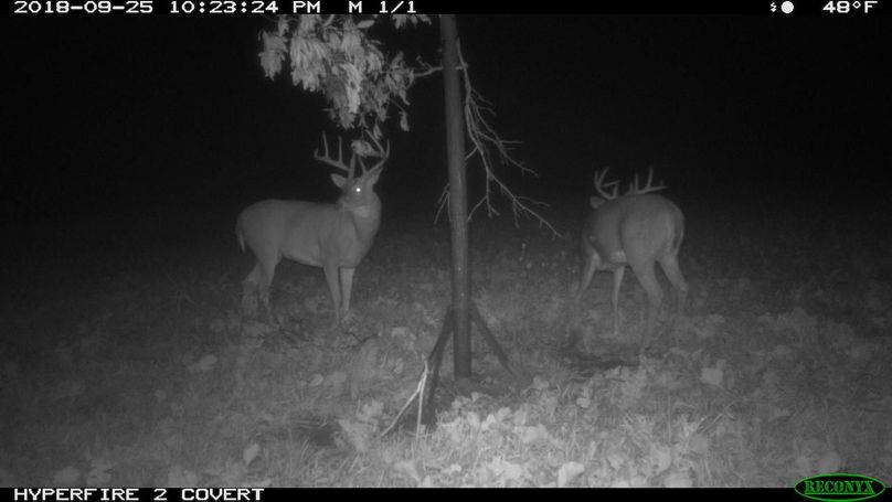 2018-09-25 22-23-24 m 1 1