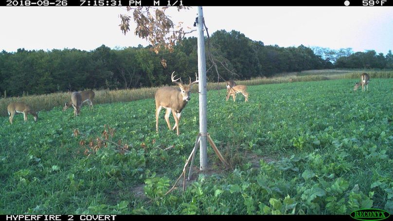 2018-09-26 19-15-31 m 1 1