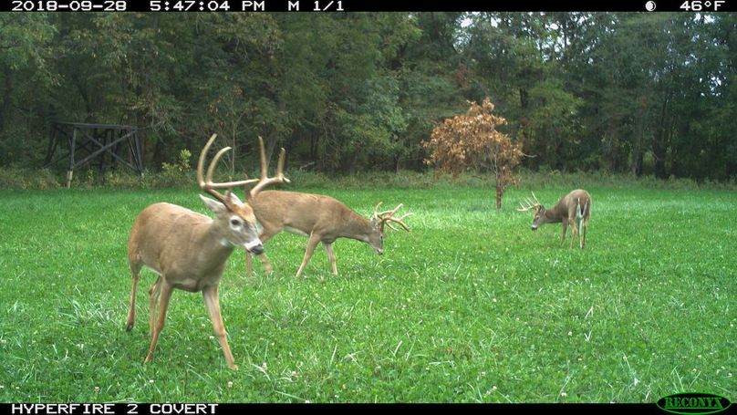 2018-09-28 17-47-04 m 1 1