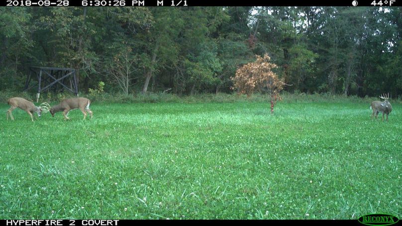 2018-09-28 18-30-26 m 1 1