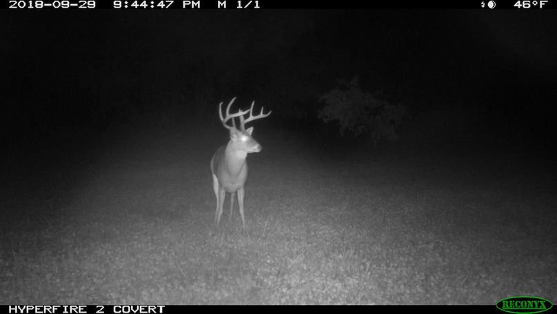 2018-09-29 21-44-47 m 1 1