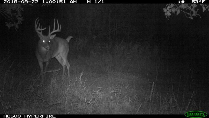 2018-09-22 01-00-51 m 1 1