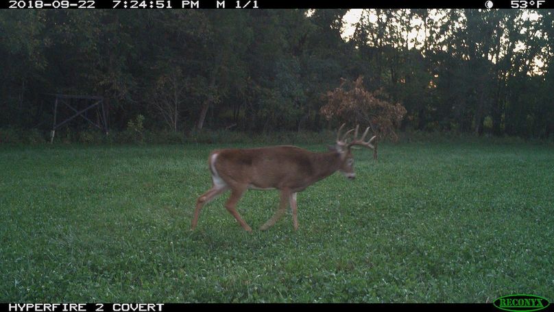 2018-09-22 19-24-51 m 1 1