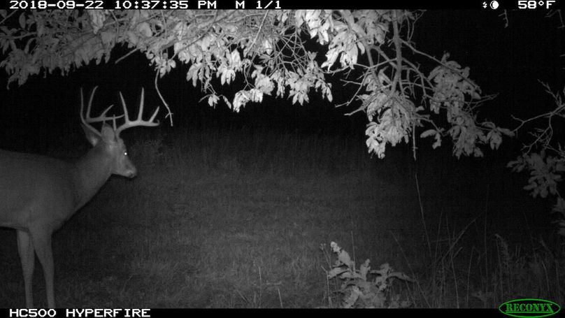 2018-09-22 22-37-35 m 1 1