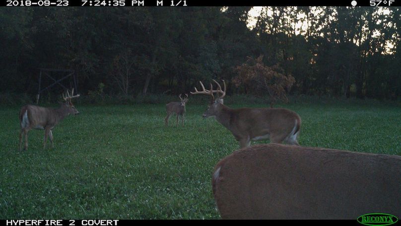 2018-09-23 19-24-35 m 1 1