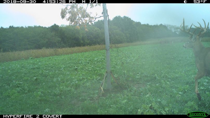 2018-09-30 16-53-26 m 1 1