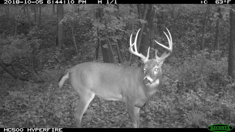 2018-10-05 18-44-10 m 1 1