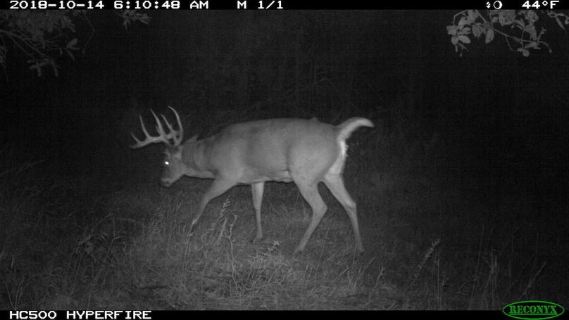 2018-10-14 06-10-48 m 1 1