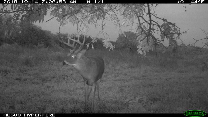 2018-10-14 07-09-53 m 1 1