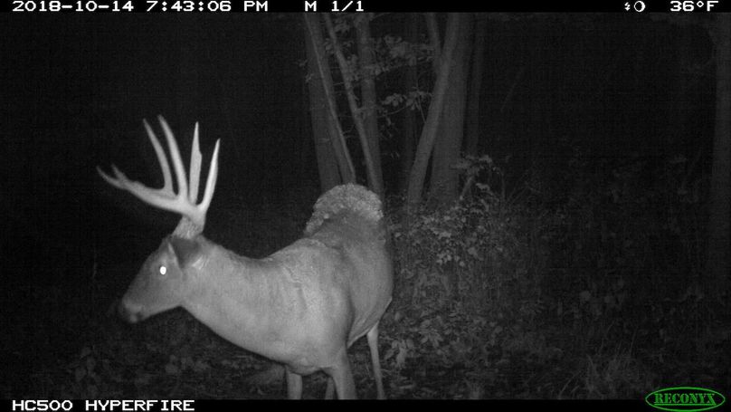 2018-10-14 19-43-06 m 1 1