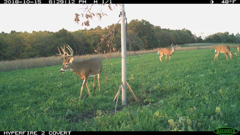 2018-10-15 18-29-12 m 1 1